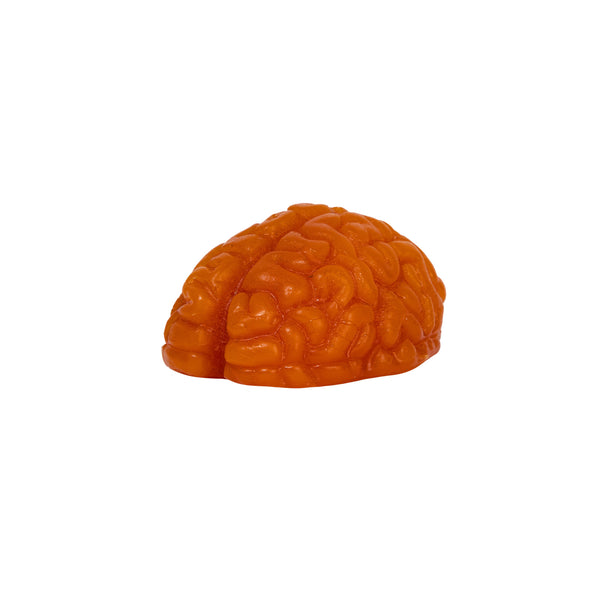 CURB MAGIC MINI BRAIN 6-Pack
