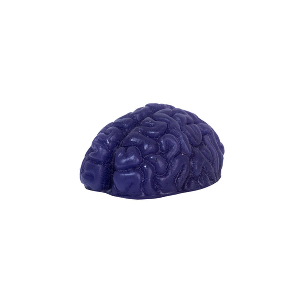 CURB MAGIC MINI BRAIN 6-Pack