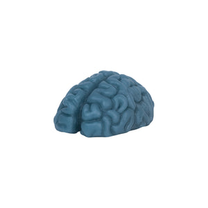 CURB MAGIC MINI BRAIN 6-Pack